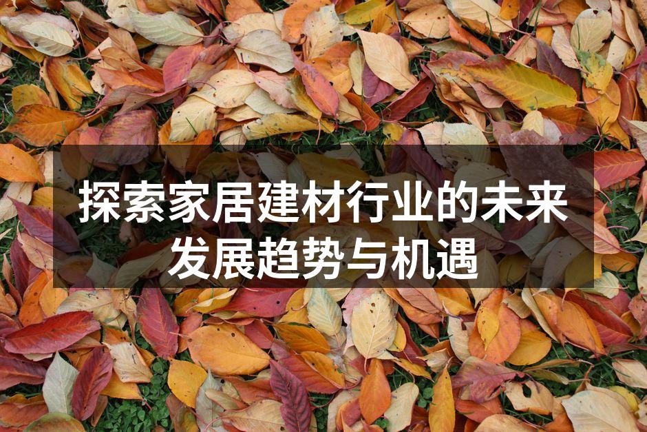 探索家居建材行业的未来发展趋势与机遇