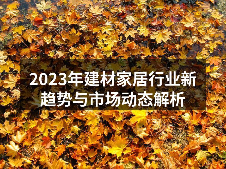 2023年建材家居行业新趋势与市场动态解析